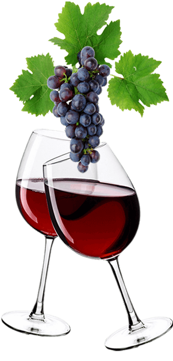 Wines of Bourgogne